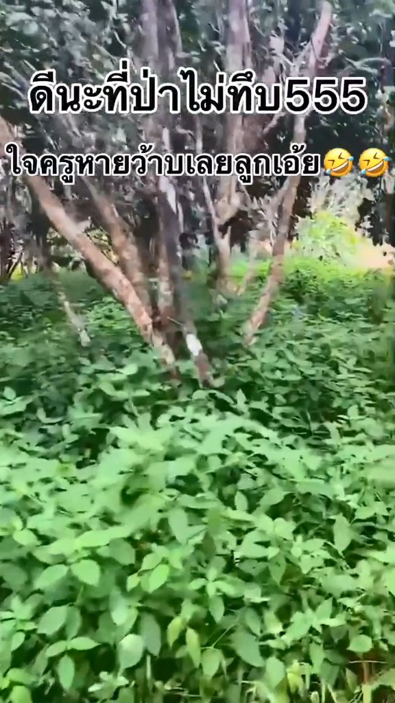 โดดเรียน